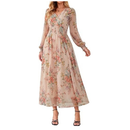 Women's Floral Mesh Long Sleeve Empire Waist Maxi Dress